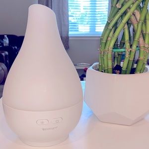 Oil Diffuser